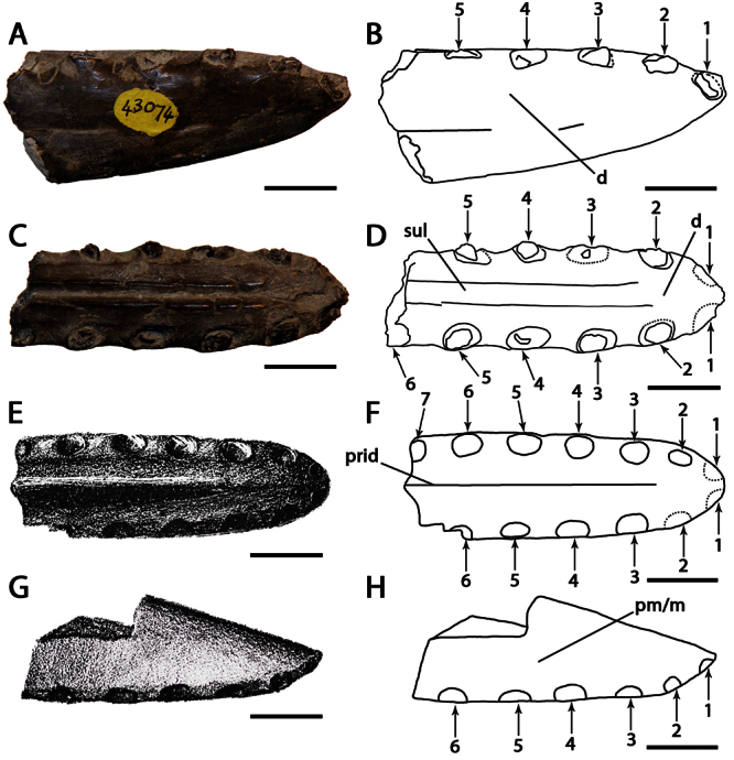 Figure 13.