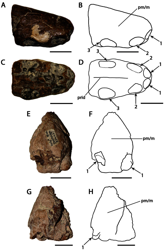 Figure 16.