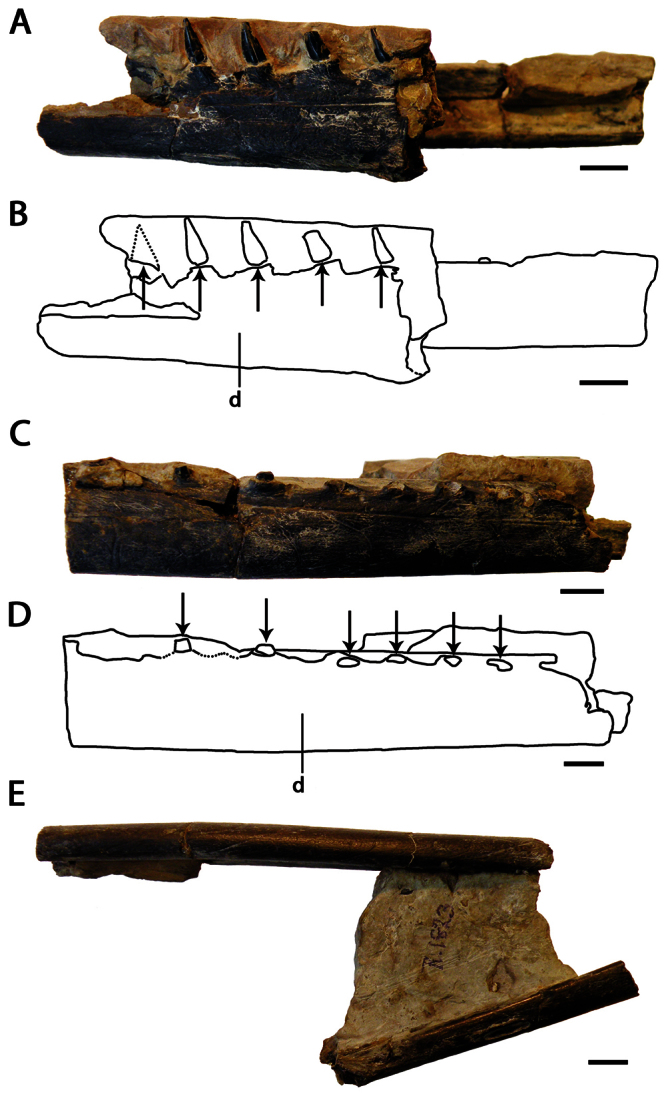 Figure 20.