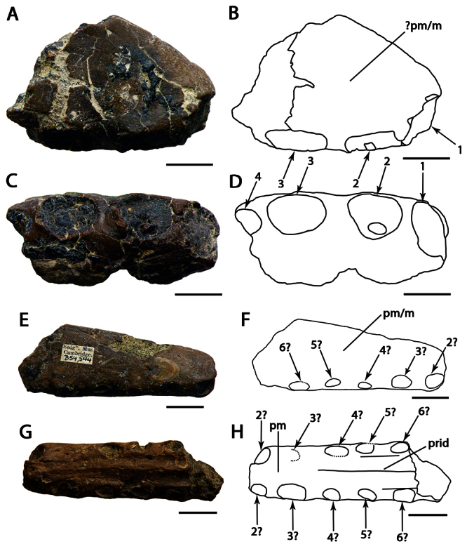 Figure 17.