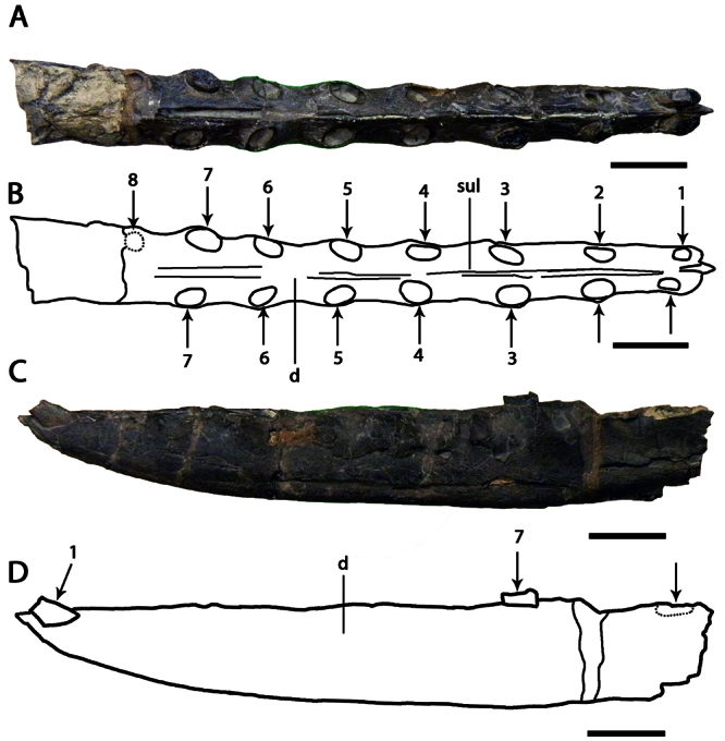 Figure 21.