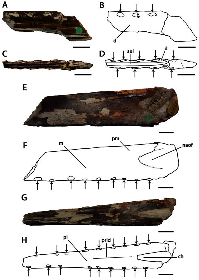 Figure 14.