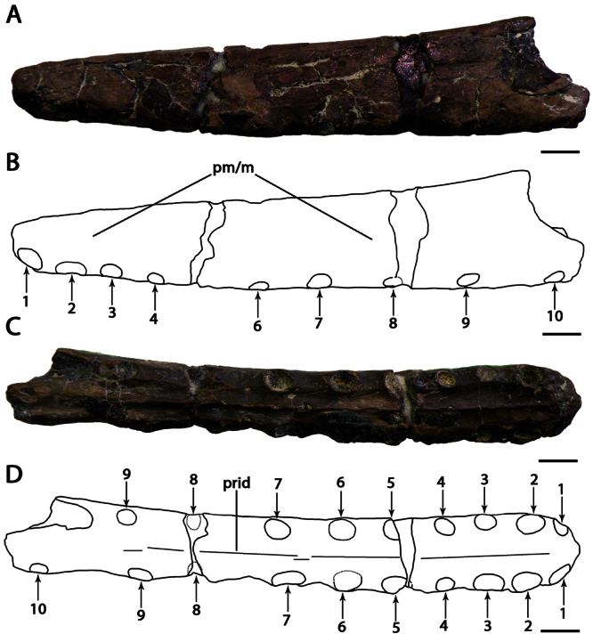 Figure 9.