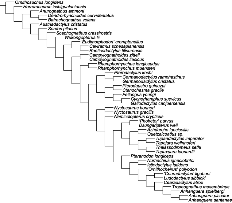 Figure 28.