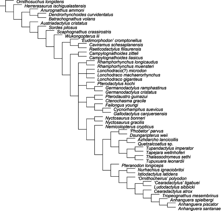 Figure 32.