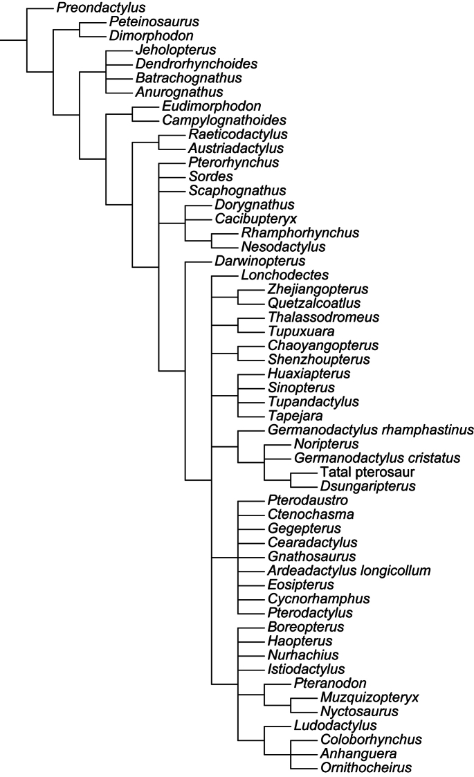 Figure 25.