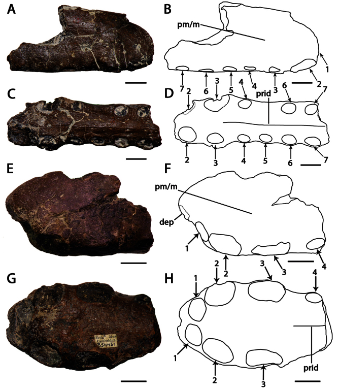 Figure 10.