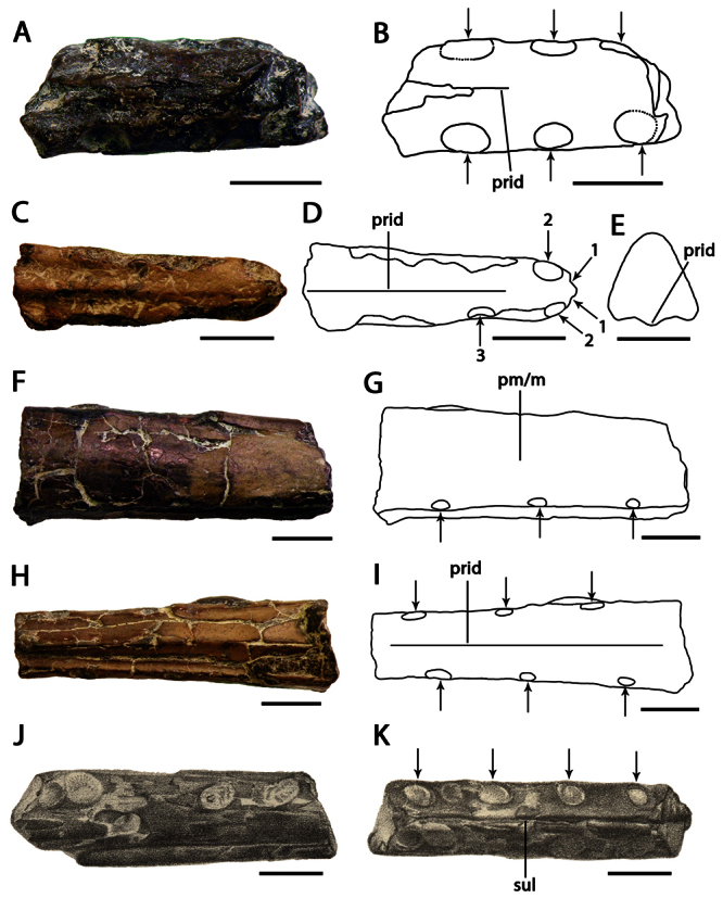 Figure 19.