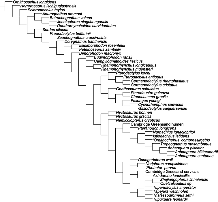 Figure 26.