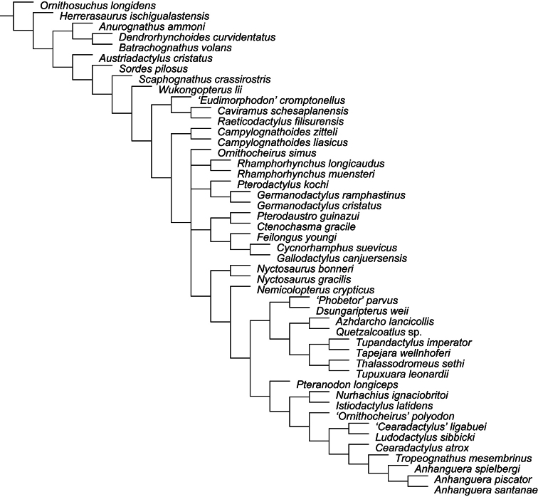 Figure 31.