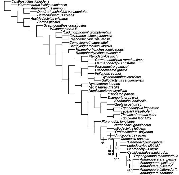 Figure 29.