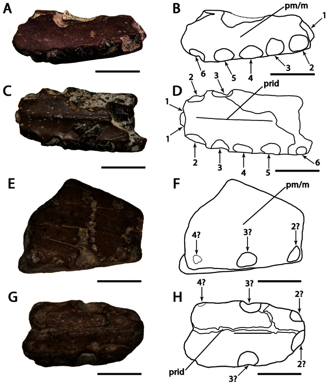 Figure 12.