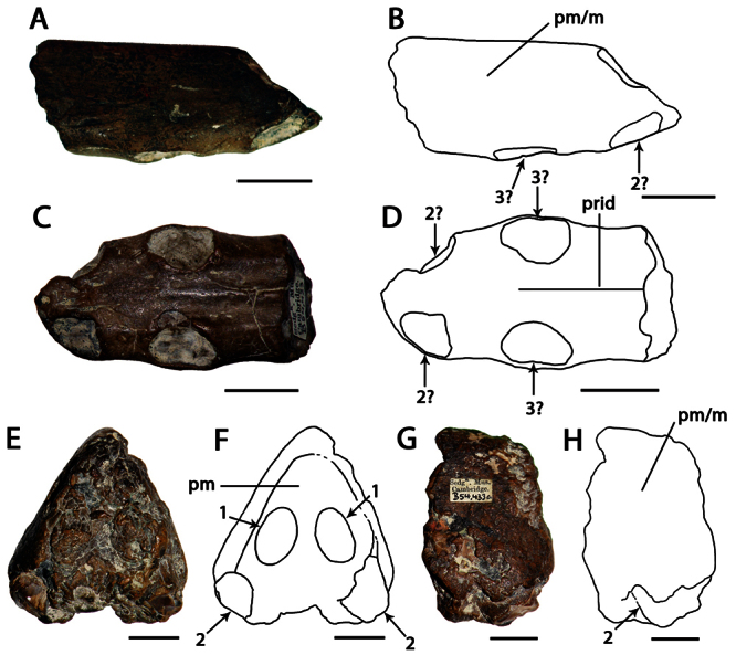 Figure 15.