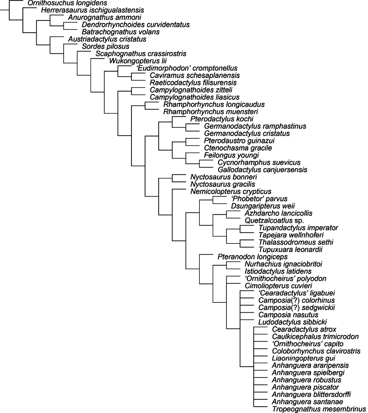 Figure 30.