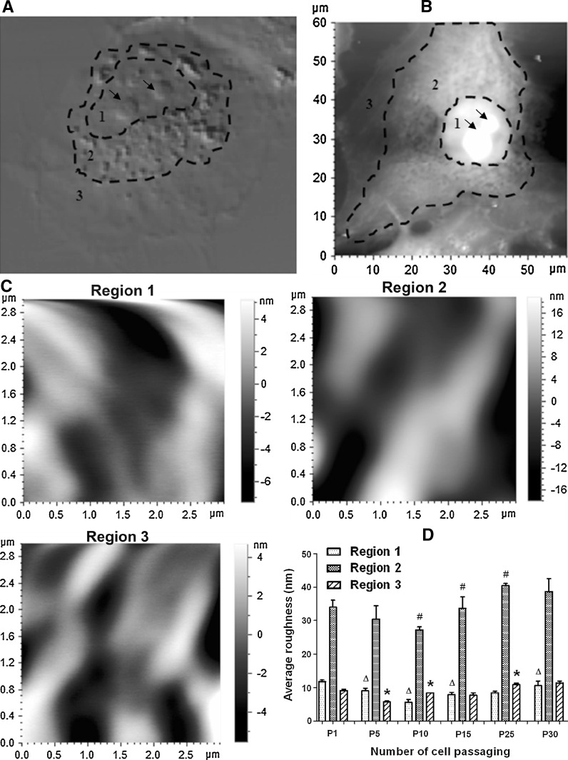 Fig. 4