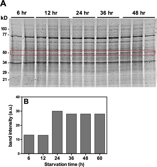 Fig 7