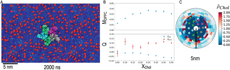 Figure 1: