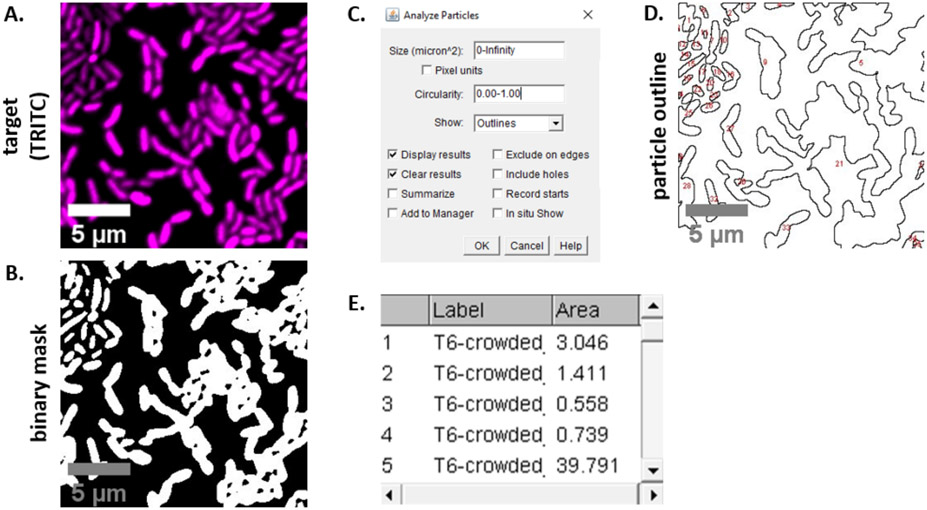 Figure 3: