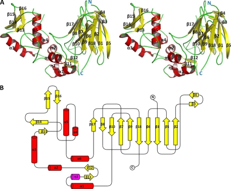 FIGURE 1.