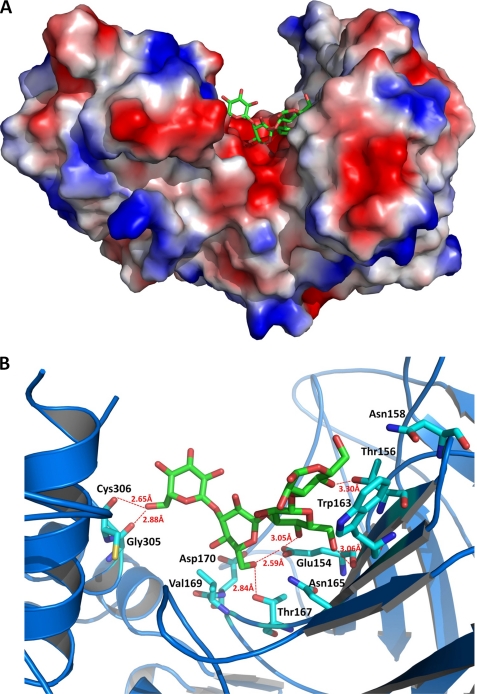 FIGURE 4.