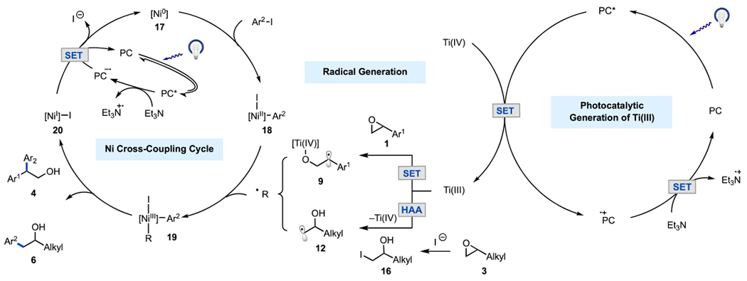 Scheme 3.