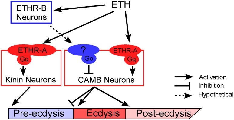 Fig 7