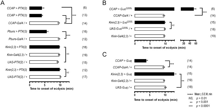 Fig 5