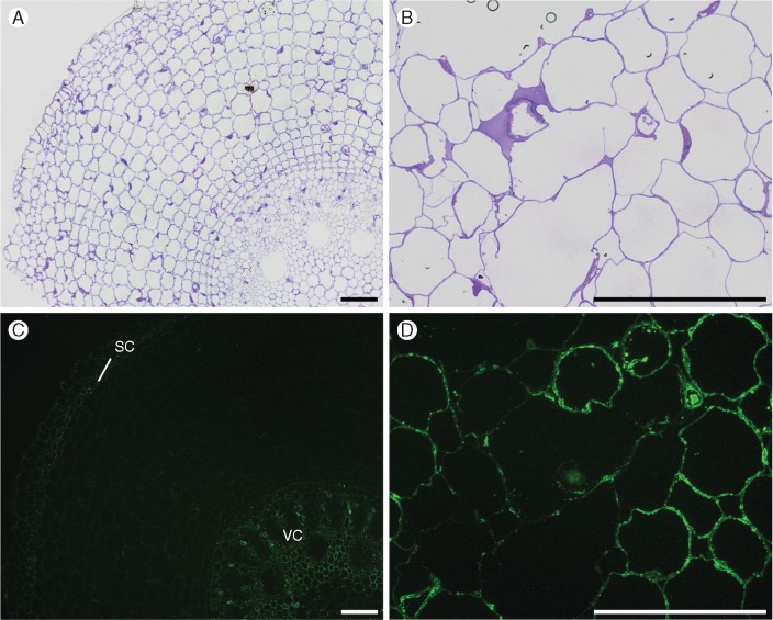 Fig. 9.