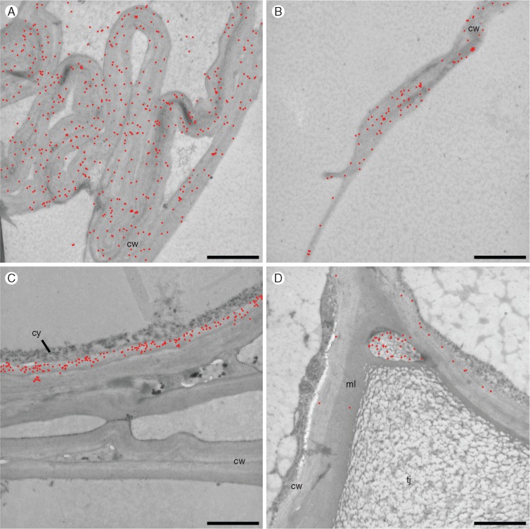 Fig. 10.