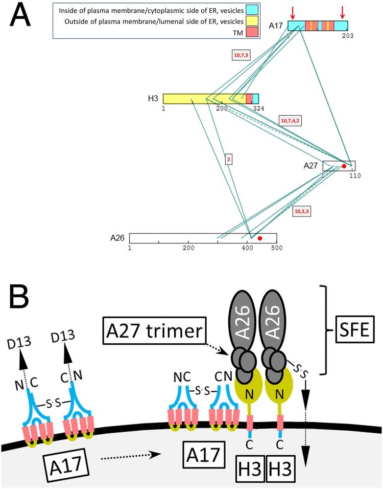 Fig 8