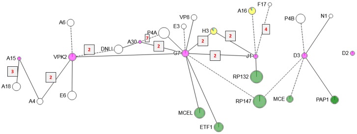 Fig 11