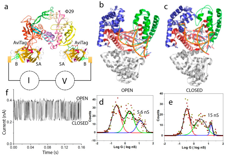 Figure 7