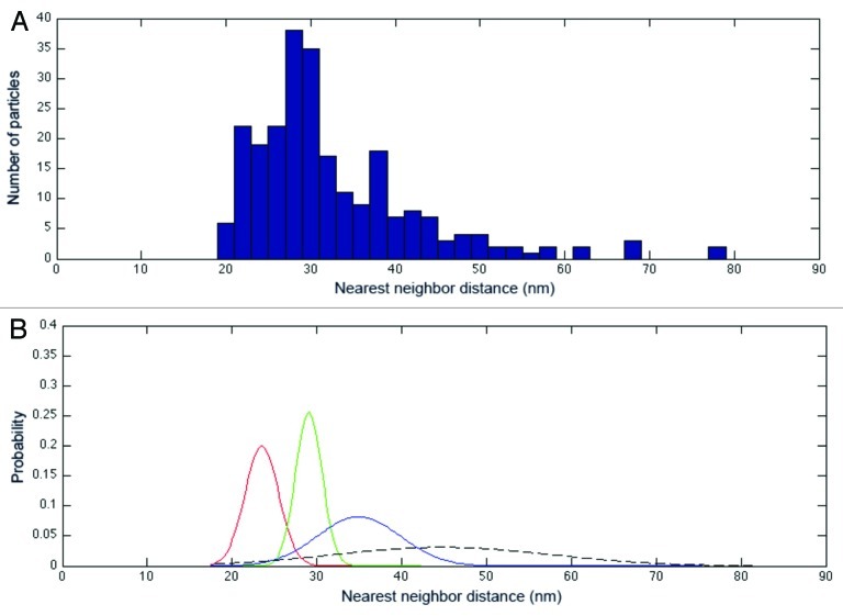 graphic file with name rna-10-314-g3.jpg