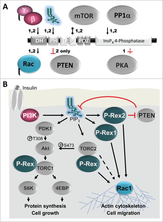 Figure 3.