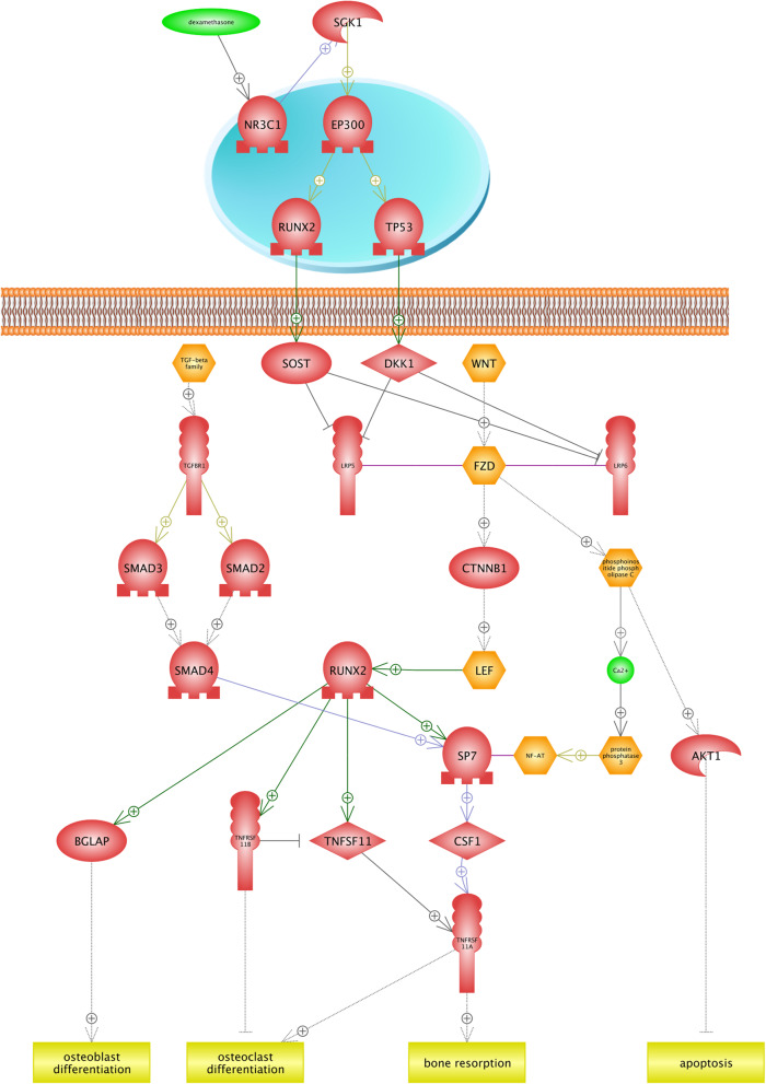 Fig. 7