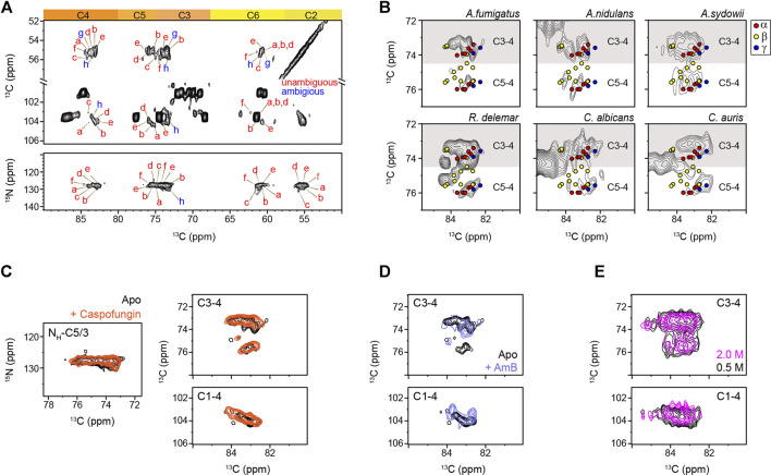 FIGURE 2