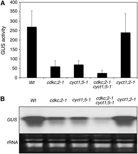 Figure 3.