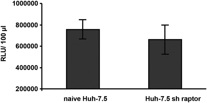 Figure 7