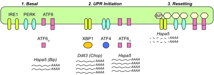 Figure 7.