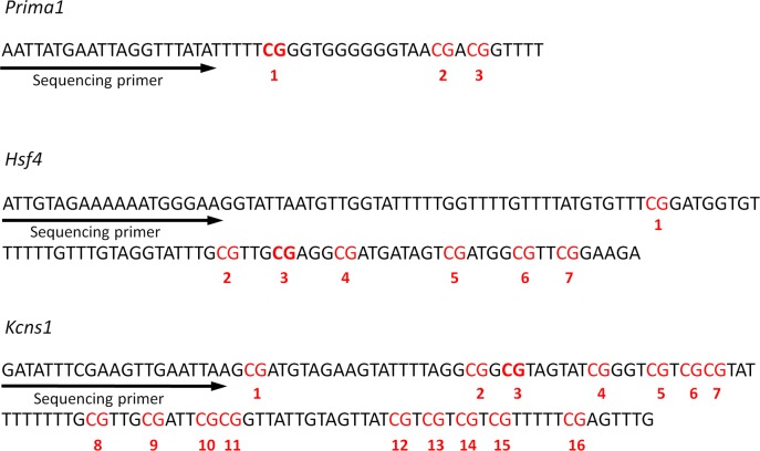 Figure 1—figure supplement 1.