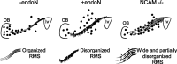 Figure 9.