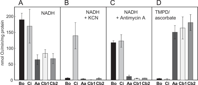 FIG 2