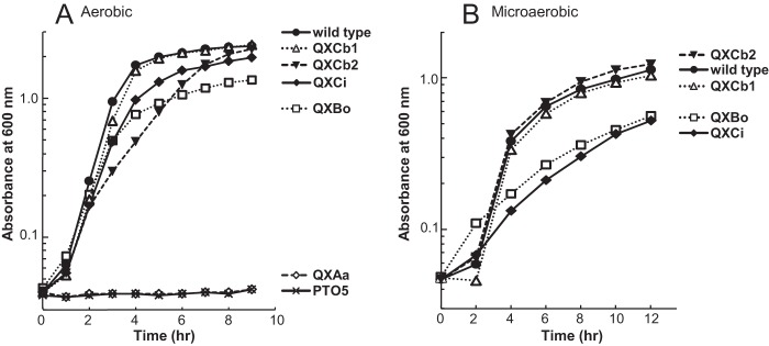 FIG 1