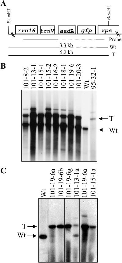 Figure 2.