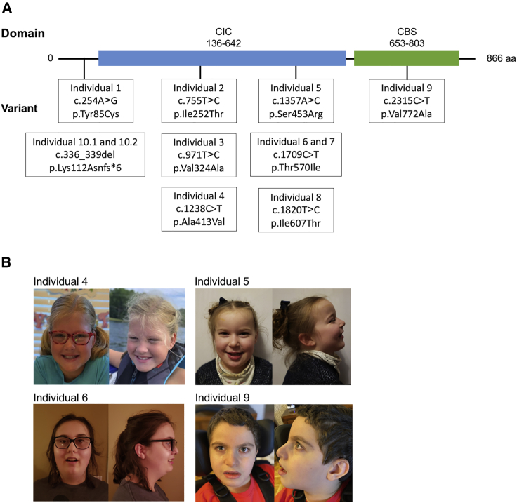 Figure 1