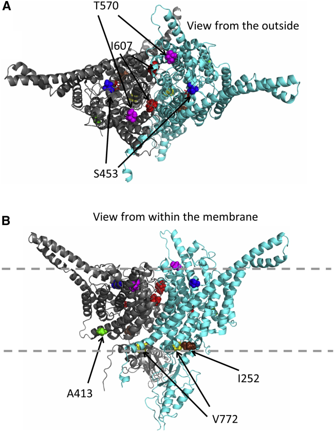 Figure 6