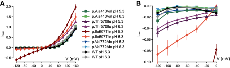 Figure 5