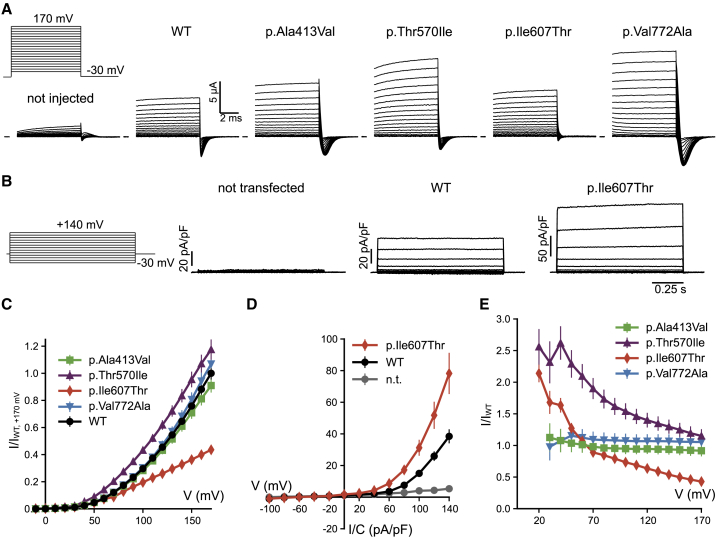 Figure 3