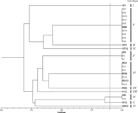 FIG. 1.