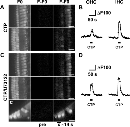 Fig. 6